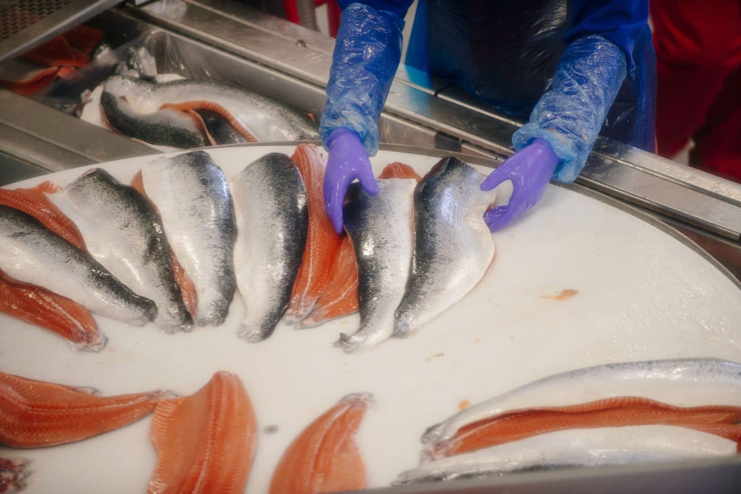 Seafood exporter Norway with certified cold-chain logistics and quality assurance