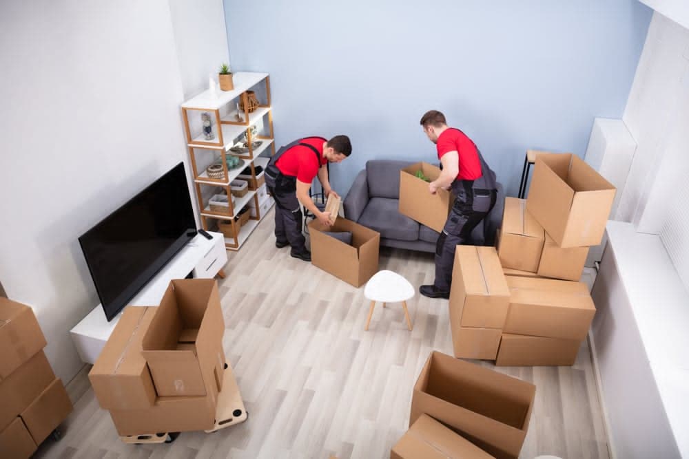 Unbearable iPhone Pallets for Sale – High-Profit Liquidation Inventory