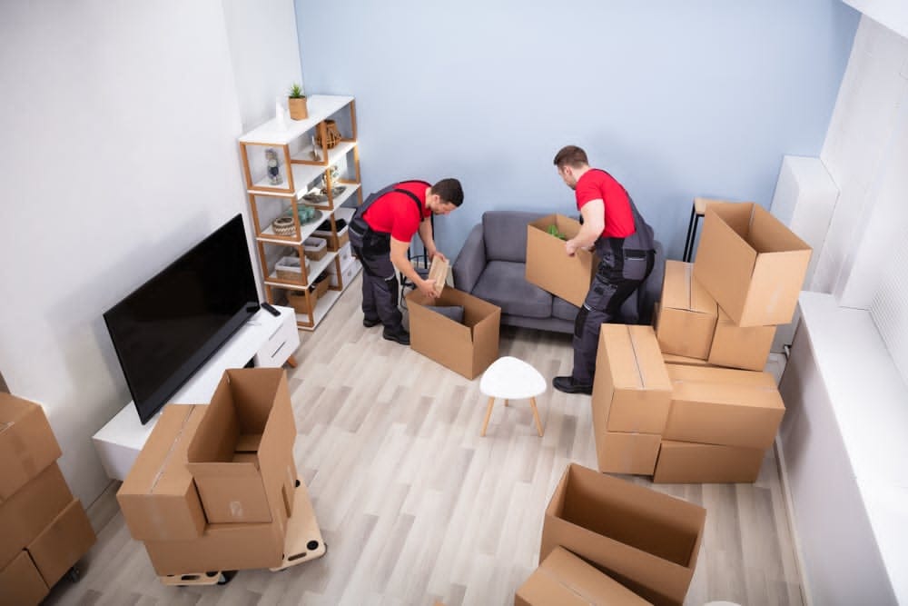 Unbearable iPhone Pallets for Sale – High-Profit Liquidation Inventory
