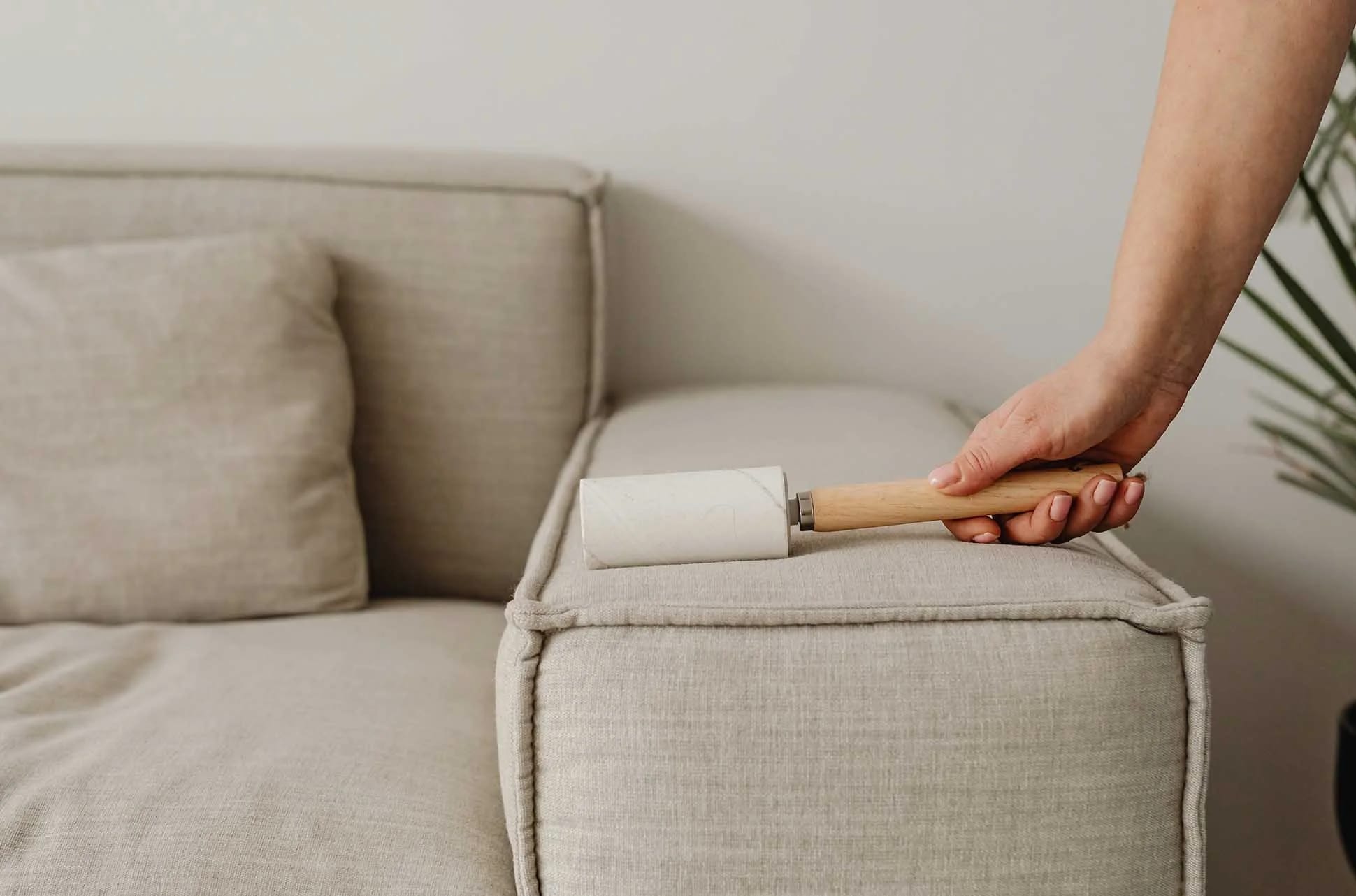 Reliable Couch Cleaning Roseville CA for Fresh Furniture